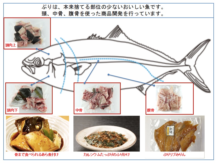 活き活き育ちぶり ご紹介
